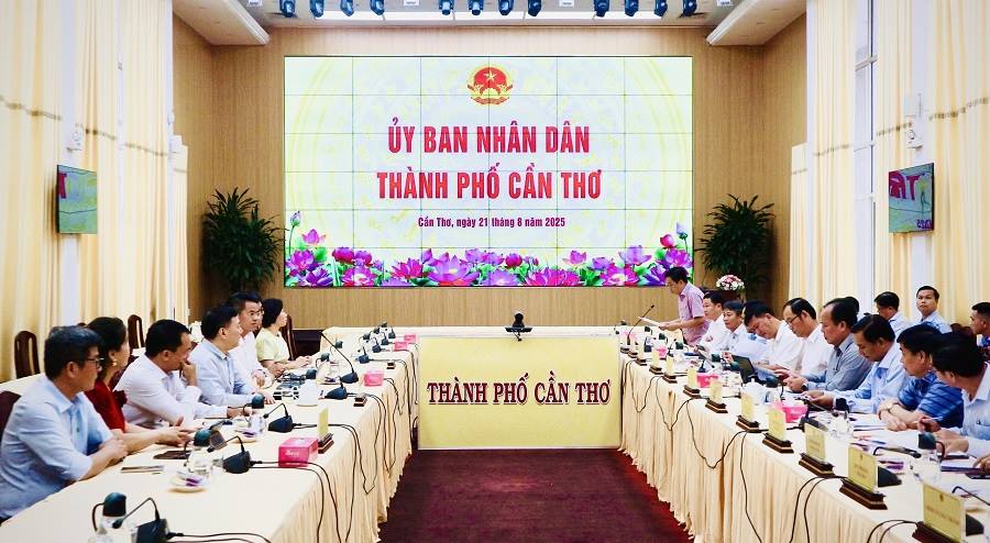 Lãnh đạo UBND TP Cần Thơ làm việc với Tập đoàn Alphanam về xúc tiến đầu tư